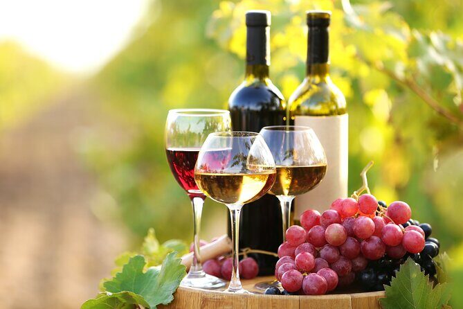 Vine & Dine Tale: 11-Plate Lunch, Wine Discovery, Cooking Mastery - Potential Drawbacks and Considerations