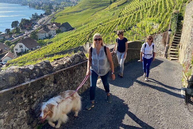 Vine Stories: Lavaux & Lutry wine walk - Exploring the Lavaux & Lutry Wine Walk: A Detailed Review