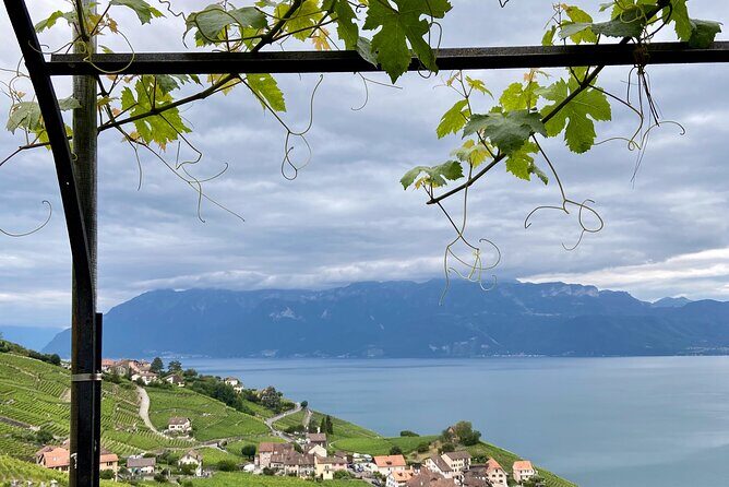 Vine Stories: Lavaux & Lutry wine walk - Key Points