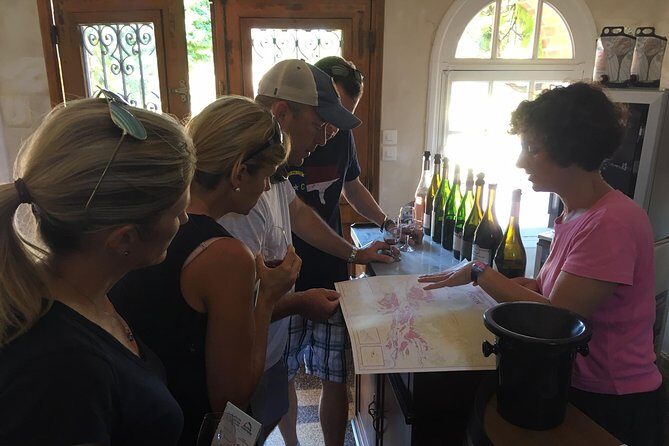 Vineyard cycle tours in and around Chinon, in the Loire Valley - A Hands-On Wine Adventure in Chinon: Cycling Through Vineyard Charm