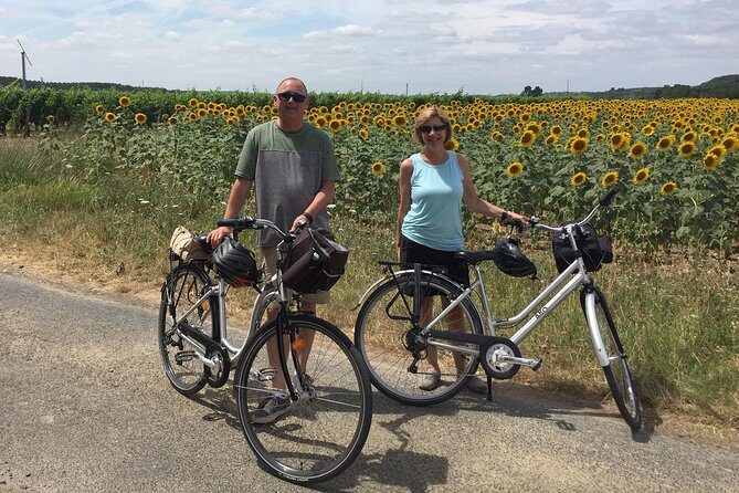 Vineyard cycle tours in and around Chinon, in the Loire Valley - Who Will Love This Tour?
