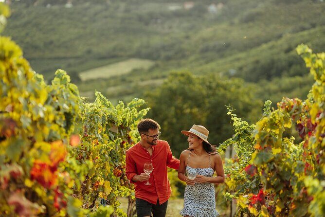 Vineyard Elegance: A Mendoza Wine Odyssey - The Sum Up: Who Will Love This Tour?