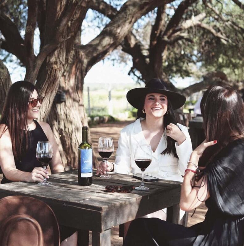 VINEYARD TOUR - Final thoughts