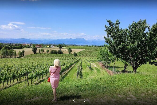 Vineyard Tour and Tasting of Lugana Wines - Key Points