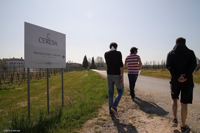 Vineyard Tour and Tasting of Lugana Wines - Final Thoughts: Is This Tour Right for You?