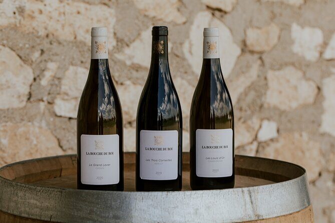Vineyard tour and wine tasting in Davron - Exploring the Vineyard Tour and Wine Tasting in Davron