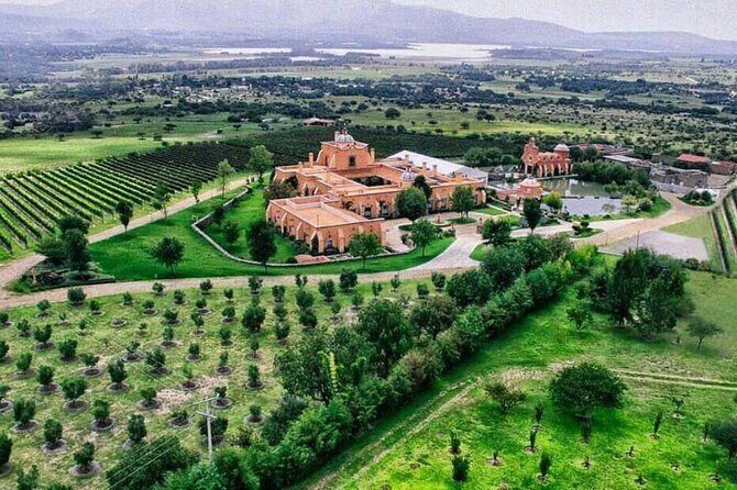 Vineyard, tour, tasting and fun in San Miguel de Allende - Vineyard, Tour, Tasting and Fun in San Miguel de Allende