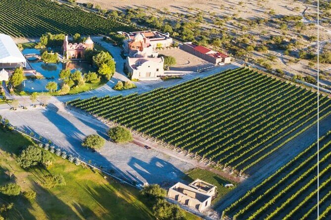 Vineyard, tour, tasting and fun in San Miguel de Allende - Why This Tour Offers Great Value