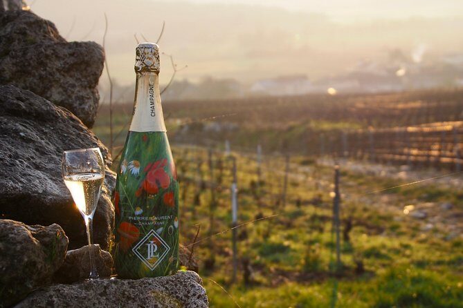 Vineyard tour & Tasting of all our lineup - Is This Tour Right for You?