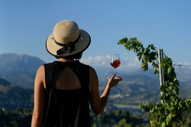 Vineyard Tour with Wine Tasting within Nice city borders - A Closer Look at the Vineyard Tour and Wine Tasting Experience