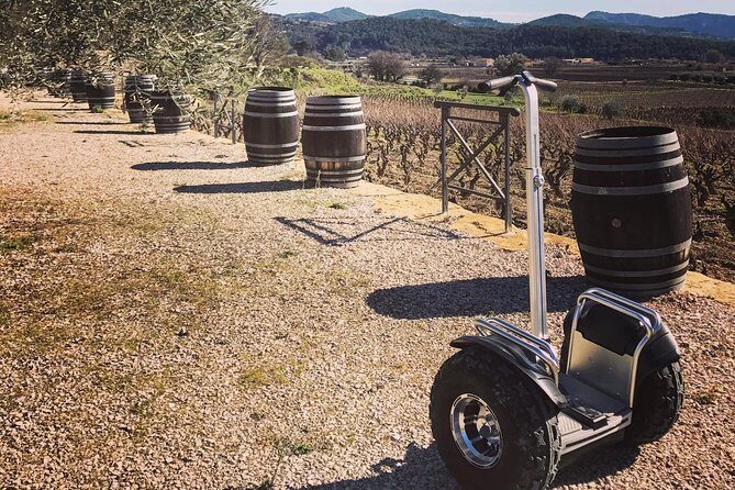 Vineyard visit in Gyropode, visit of Cave & Tasting Wines of Bandol - An Inviting Sip of the French Wine Experience in Toulon