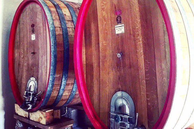 Vineyard visit in Gyropode, visit of Cave & Tasting Wines of Bandol - Key Points