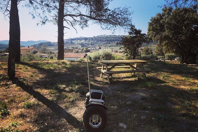 Vineyard visit in Gyropode, visit of Cave & Tasting Wines of Bandol - The Bottom Line: Is It Worth It?