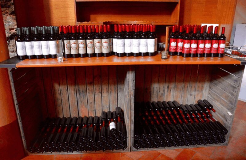Vineyard Walk & Wine Tasting in the Berici Hills of Vicenza - The Tasting: Four Wines Paired with Local Delights