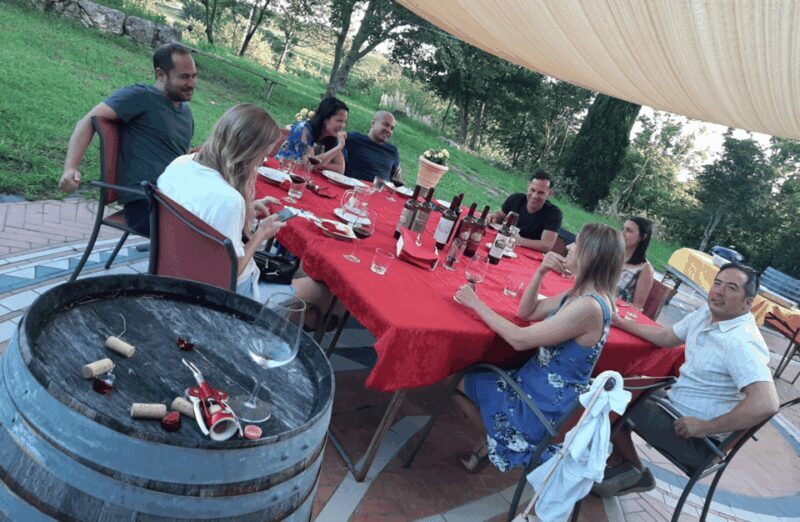 Vineyard Walk & Wine Tasting in the Berici Hills of Vicenza - Practical Details and Value for Money