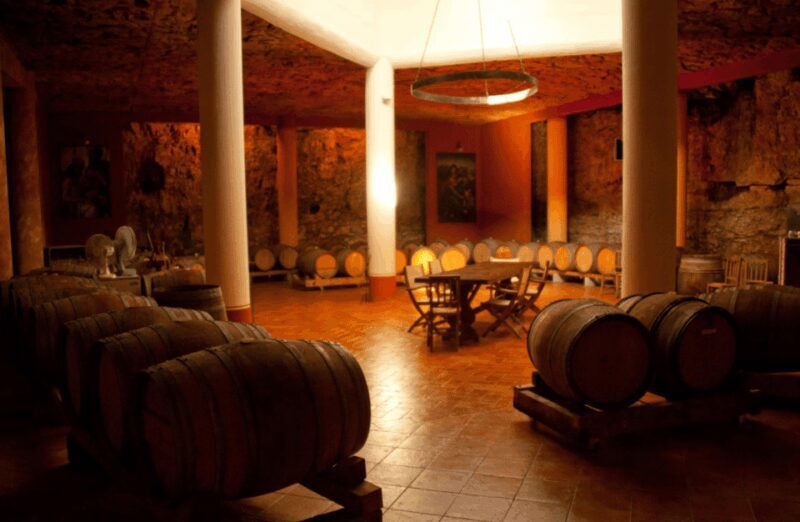Vineyard Walk & Wine Tasting in the Berici Hills of Vicenza - Who Will Appreciate This Tour Most?