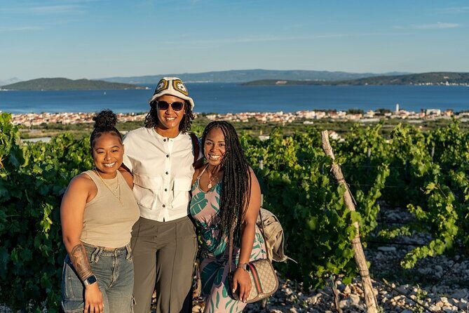 Vineyard Wine Tasting Experience with a Sea view from Split - The Itinerary Breakdown