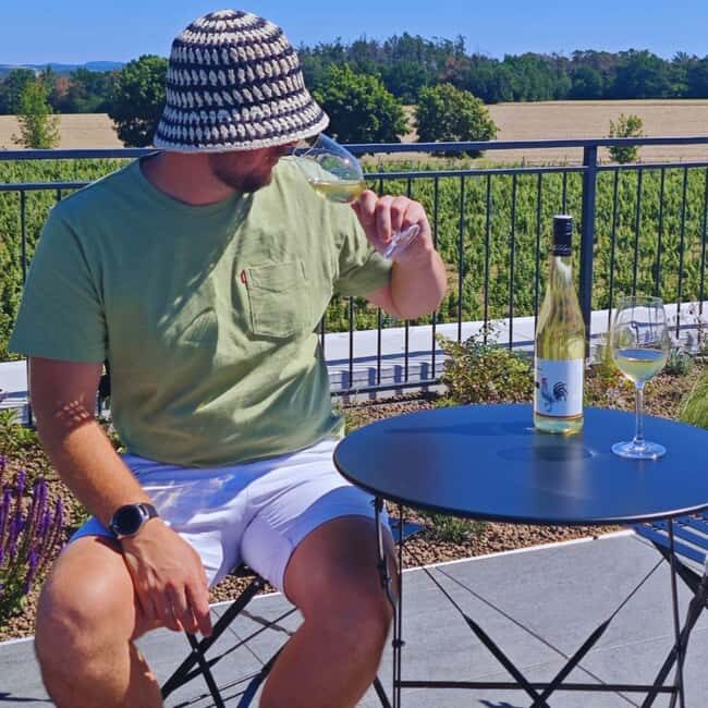 Vineyards & Castles : Czech Wine and Culture Tour - Discover Czech Wine and Heritage with the Vineyards & Castles Tour