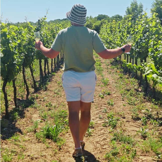 Vineyards & Castles : Czech Wine and Culture Tour - Practical Considerations and Value