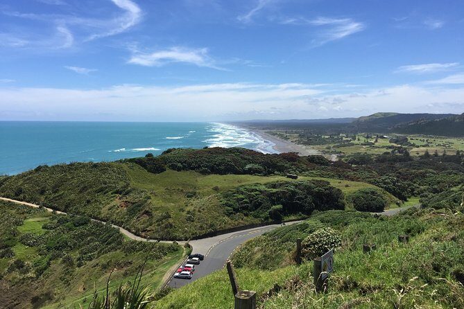 Vineyards Honey and Black Sand Beaches from Auckland - Explore More