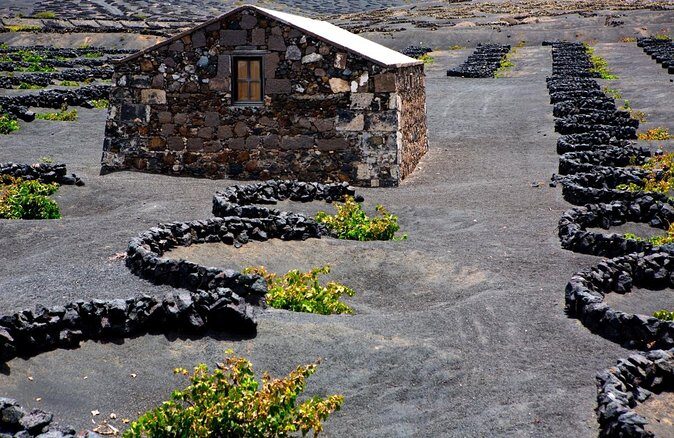 Vineyards of La Geria hiking tour - Discover Lanzarote’s Unique Vineyards on a Guided Hike