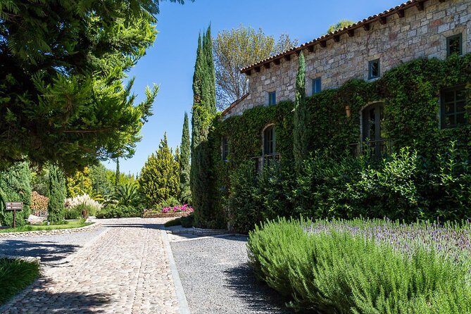 Vineyards, Wine Tasting and Pairing in San Miguel - Key Points