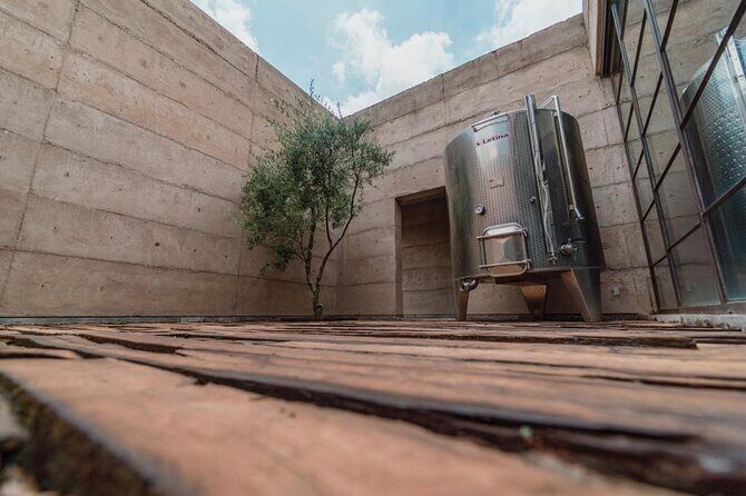 Vineyards, Wine Tasting and Pairing in San Miguel - Who Will Love This Tour?