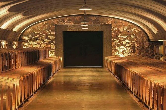 Vineyards with Wine Tasting in Mendoza - Discover Mendoza’s Vineyards with Wine Tasting: An Honest Review