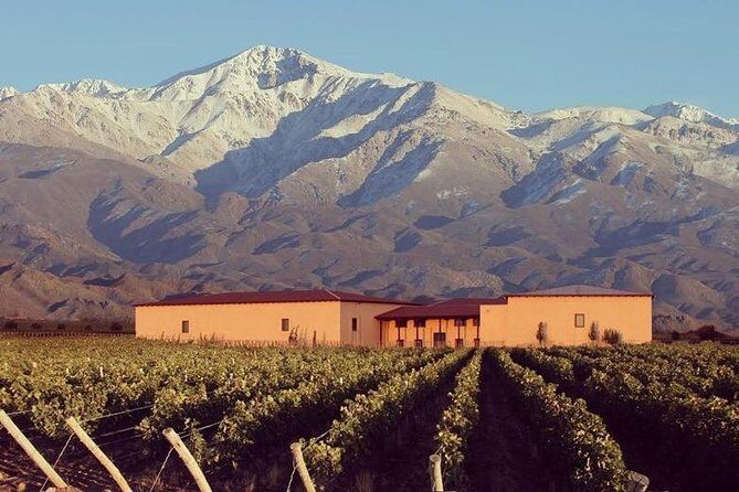 Vineyards with Wine Tasting in Mendoza - Key Points