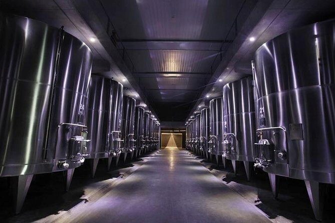 Vineyards with Wine Tasting in Mendoza - Practical Details and Tips