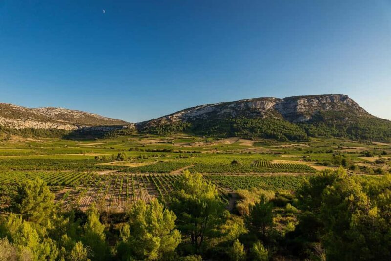 vingrau : wine tasting - Why You Should Consider This Tour