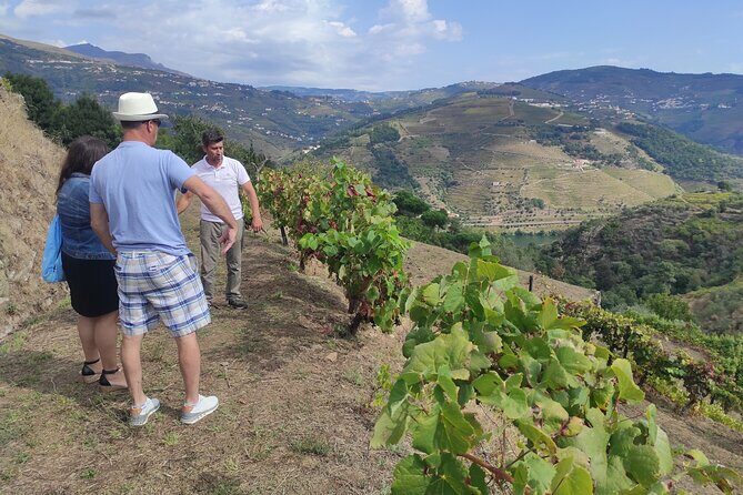 Vinho Verde Experience - Private & Exclusive - FAQ
