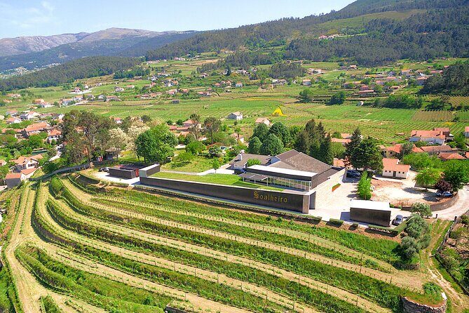 Vinho Verde Experience with 2 Wineries and Lunch - An In-Depth Look at the Vinho Verde Experience