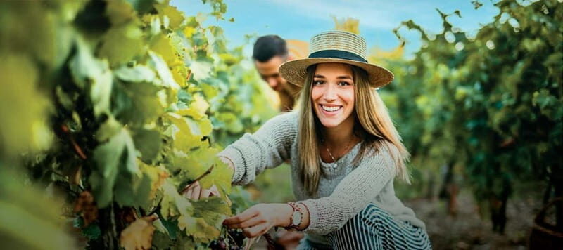 Vinho Verde: Visit 3 Wineries with wine tastings and Lunch - Discovering Portugal’s Vinho Verde: A Day of Wine, Tradition, and Scenic Beauty
