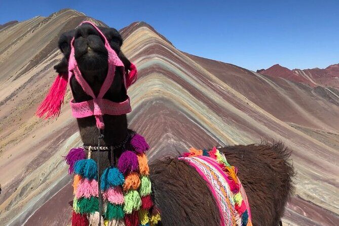 Vinicunca Rainbow Mountain Full-Day Tour from Cusco - What’s Included and What You Should Prepare