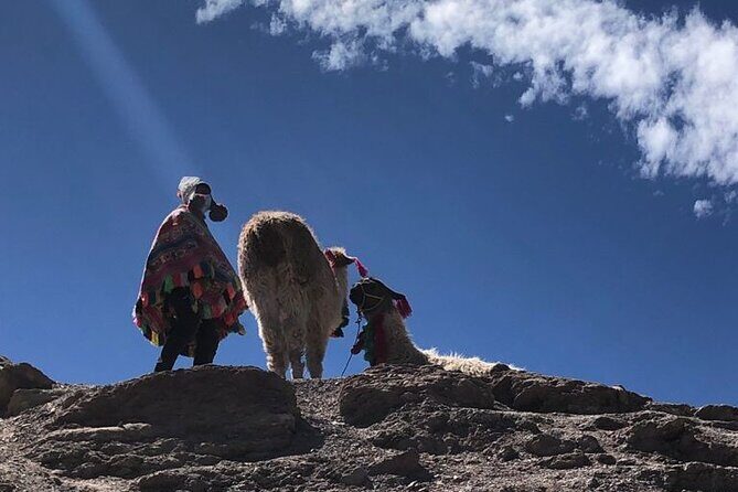 Vinicunca Rainbow Mountain Full-Day Tour from Cusco - Who Should Consider This Tour?
