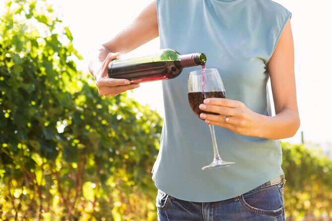 Vino Venture: Explore With A Local - Troodos Mountains thru Wine! - The Sum Up: Who Is This Tour Best For?