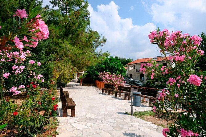 Vino Venture: Explore With A Local - Troodos Mountains thru Wine! - Key Points