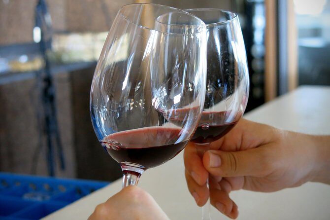 Vino Venture: Explore With A Local - Troodos Mountains thru Wine! - Who Should Consider This Tour?