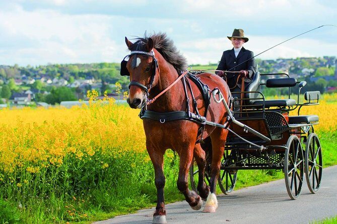 Vinyard Tour By Horse & Carriage With Delicious Tasting - Umbria - A Charming Ride Through Umbria’s Vineyards in a Horse-Drawn Carriage