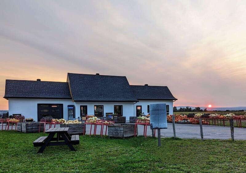 VIP Agritourism Tour of Île d'Orléans & Montmorency Fall - Exploring Quebec’s Agritourism Charm: A Deep Dive into the VIP Île dOrléans & Montmorency Fall Tour