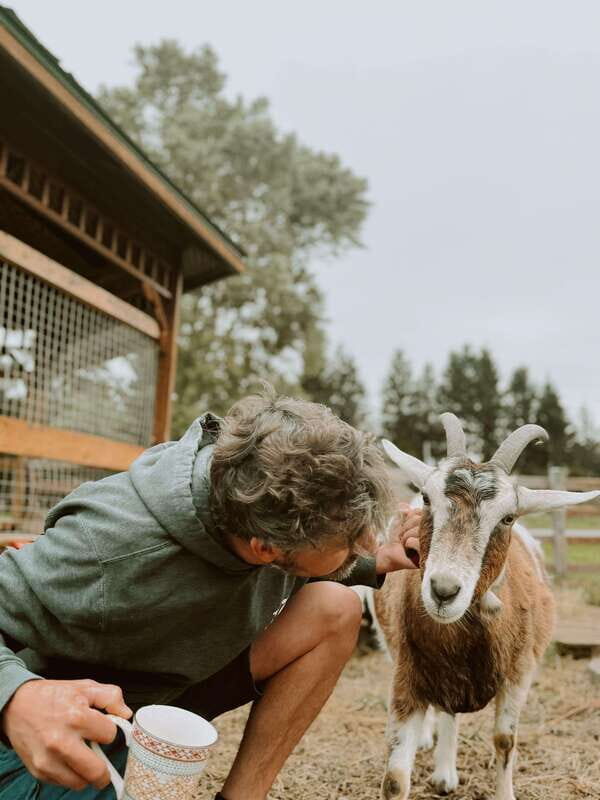 VIP Agritourism Tour of Île d'Orléans & Montmorency Fall - The Sum Up: Is This Tour Right for You?