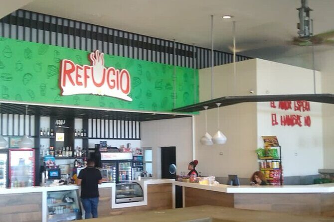 VIP and Luxury Transfert from Punta CanaAirport - A Practical Look at the VIP and Luxury Transfer Service