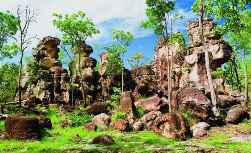 vip backpacker Litchfield - An In-Depth Look at the VIP Backpacker Litchfield Tour