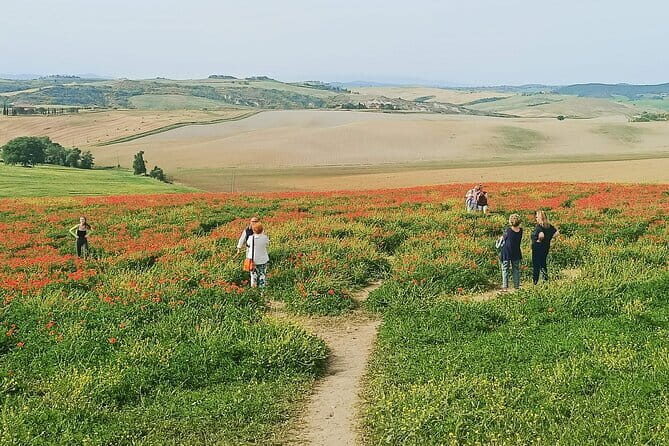VIP Brunello Montalcino, Montepulciano & Val d'Orcia with Lunch - Key Points