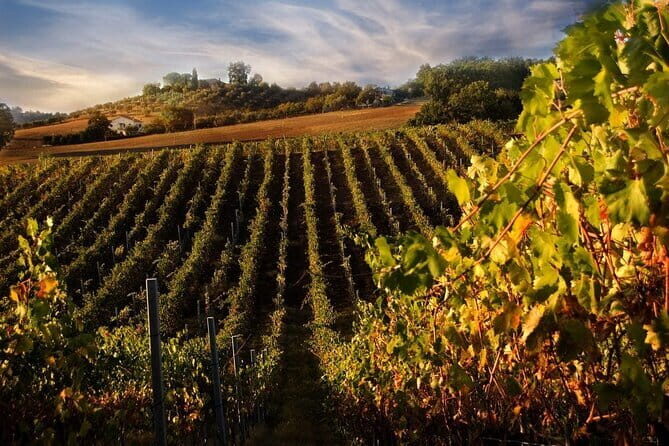 VIP Brunello Montalcino, Montepulciano & Val d'Orcia with Lunch - A Final Word