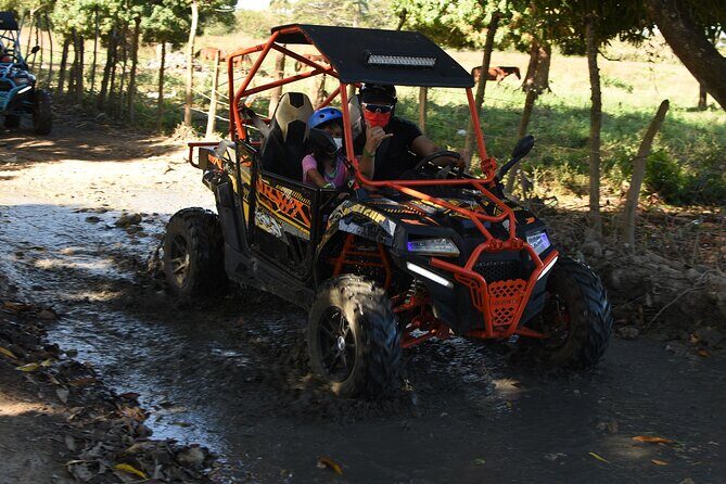 VIP Caribbean Terracross with Macao Beach and Cave - What Travelers Love