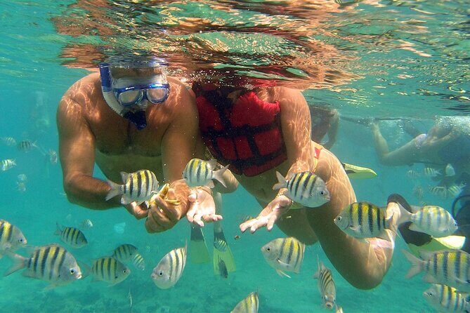 VIP Catamaran with Snorkeling - What the Price Really Gets You