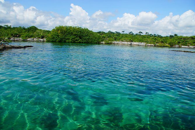 VIP Cenotes Private Tour - An In-Depth Look at the VIP Cenotes Private Tour