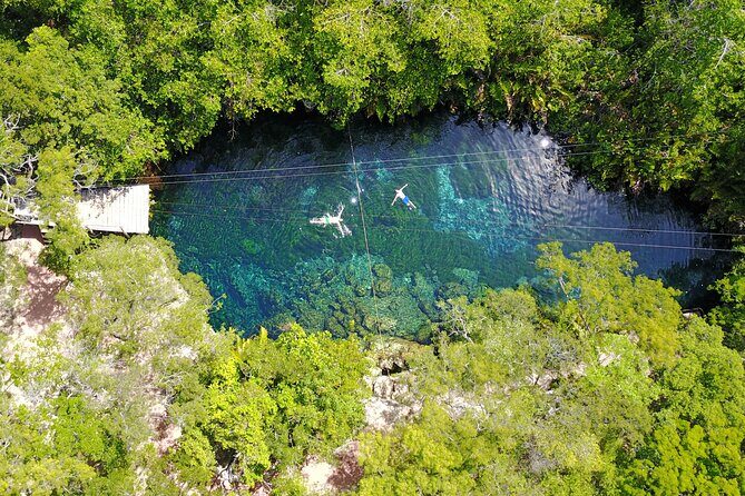 VIP Cenotes & Turtles Private Tour - The Benefits of a Private Tour